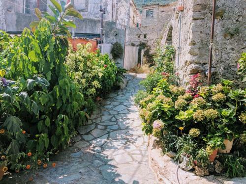 Apartamento Traditional Village House