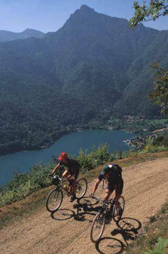 Family Wellness Camping Al Sole