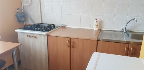 Apartamento Inzenieru