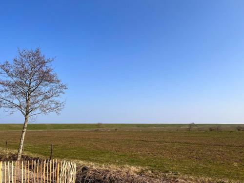 Nice Villa In Wieringer Style Near The Wadden Sea
