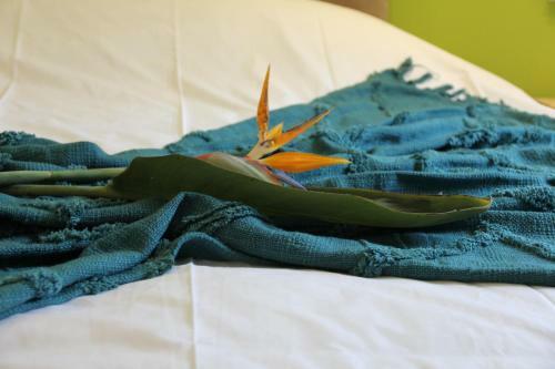 Bed & Breakfast Quinta Do Fojo, Barr�