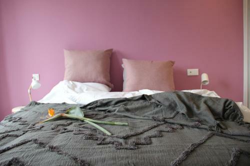 Bed & Breakfast Quinta Do Fojo, Barr�