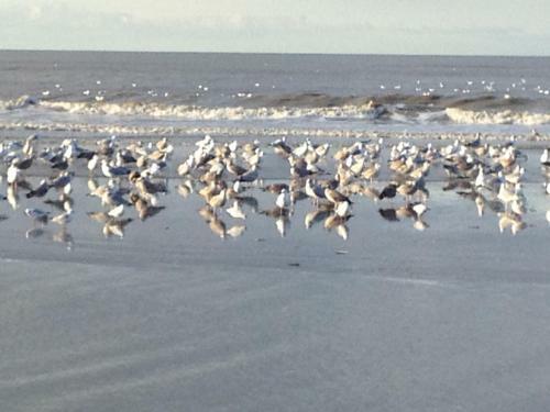 Apartamento Strand & Meer