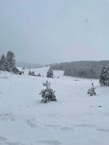 Apartamento Mm Sofy