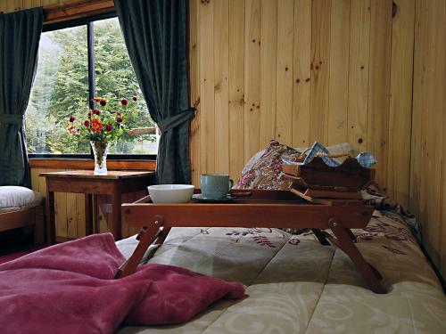Apartamento Monoambiente Panguipulli