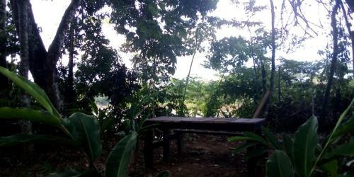 Apartamento Jardin De Las Musas
