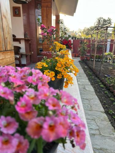 Go Pahadi Homestay