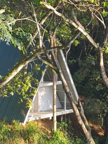 Hotel Tree Nature Resort