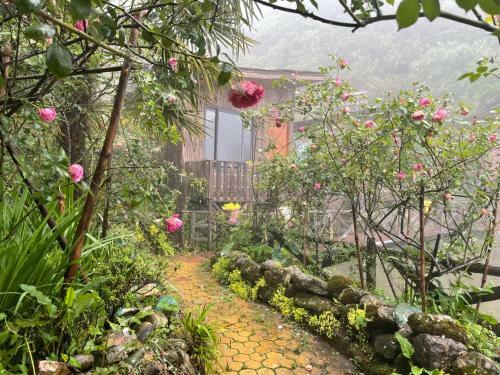 Bed & Breakfast Windmill Sapa Homstay