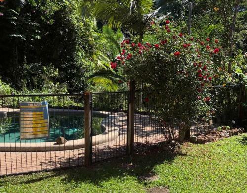 Apartamento Studio In The Rainforest