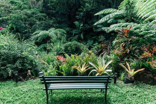 Apartamento Studio In The Rainforest