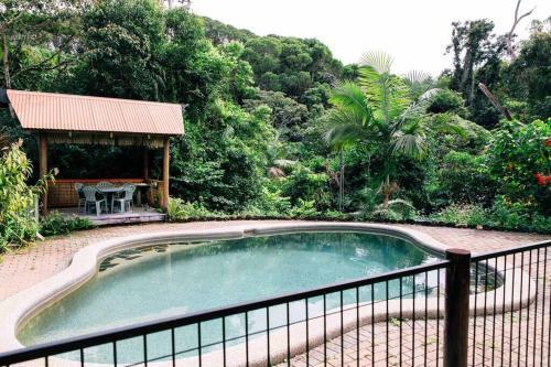 Apartamento Studio In The Rainforest