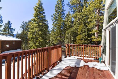Tahoe Bear House