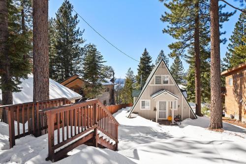 Tahoe Bear House