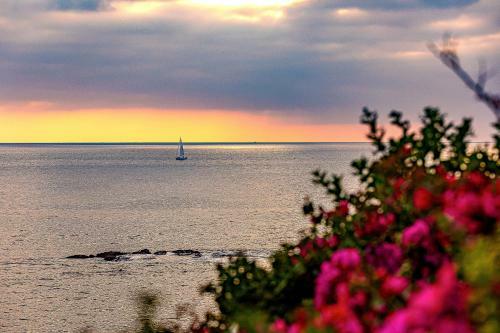 Cliff View II