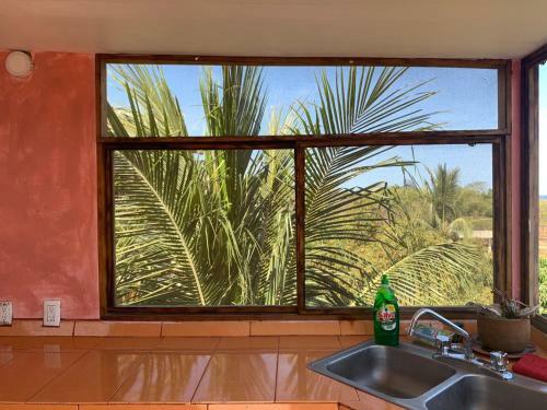 Hotel The Pineapple Mansion