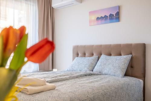 Sunny Dream Apartments