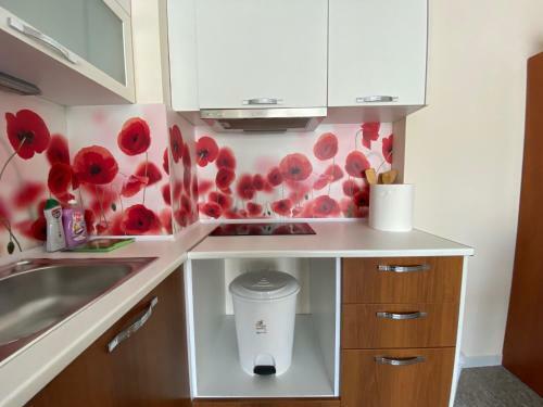 Private One Bedroom Apartment In Admiral Plaza A 10