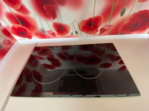 Private One Bedroom Apartment In Admiral Plaza A 10