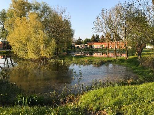 Apartamento Ferienresidenz Am Salzhaff