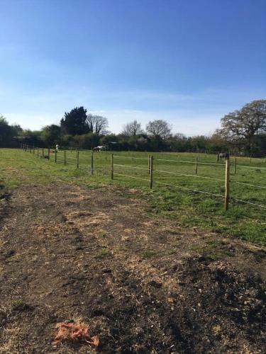Marsh Farm