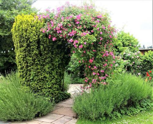 Hostal Huntstile Organic Farm