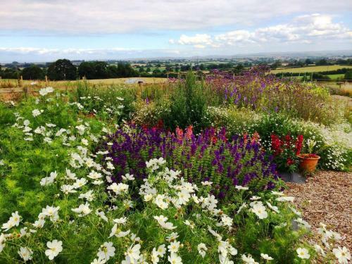 Hostal Huntstile Organic Farm
