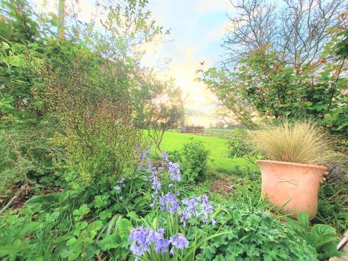 Hostal Huntstile Organic Farm