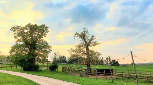 Hostal Huntstile Organic Farm