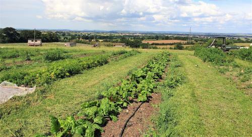 Hostal Huntstile Organic Farm