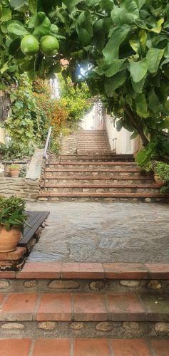 Apartamento Fantastic Sea View
