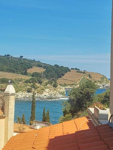 Apartamento Banyuls Solaris