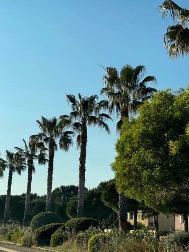 Apartamento Villa Cocody