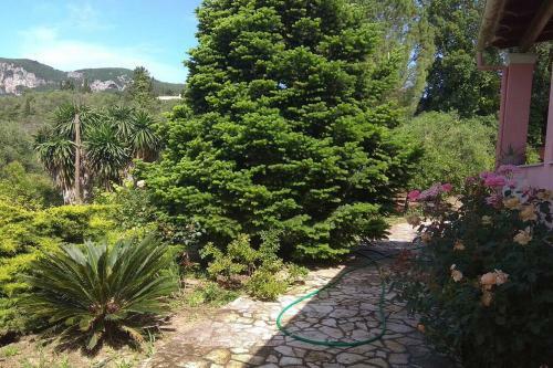 Villa Emily, Soothing Experience, Perfect Getaway