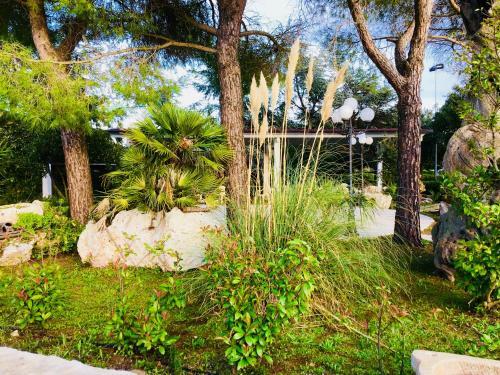Corallo Eco Wellness Hotel