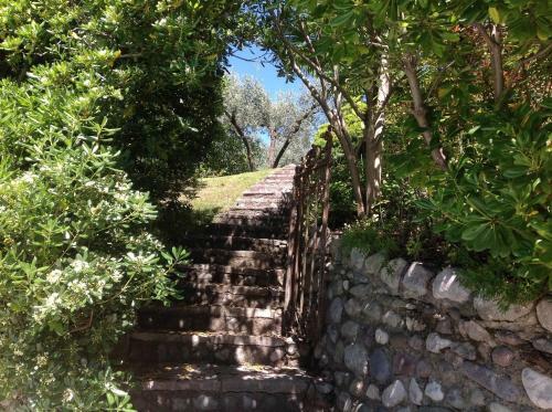 Bed & Breakfast Rosa Camuna