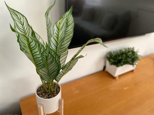 Apartamento Green Glades Annex By Staystaycations