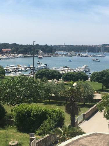 Apartments Demarin