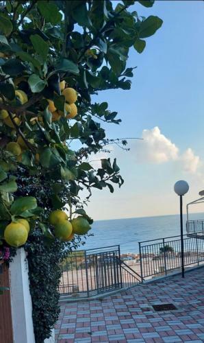 Apartamento Terrazza A Mare