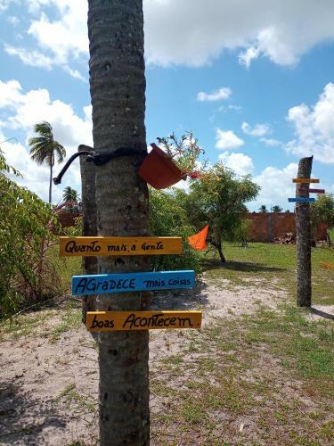 Camping E Hostel Praia Do Saco