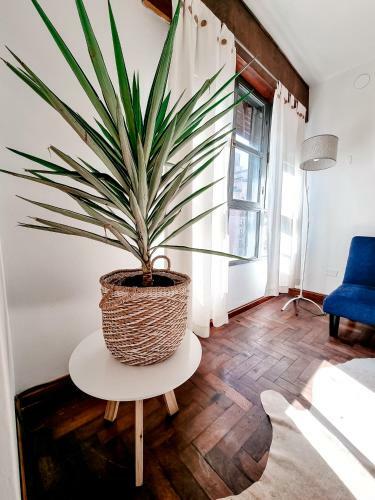 Apartamento Dpto Zona Patio Olmos