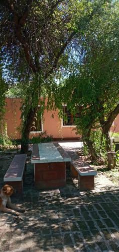 Tabla Redonda