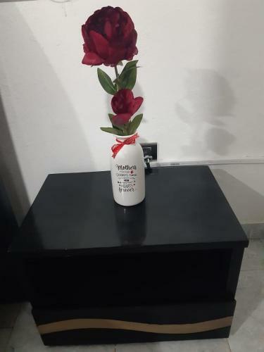 Apartamento Posada Nativa Miss Leo