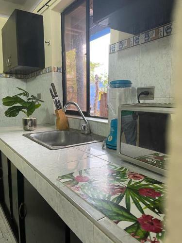 Apartamento Posada Nativa Miss Leo