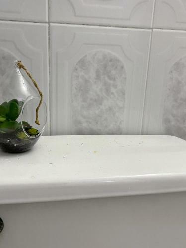 Apartamento Posada Nativa Miss Leo