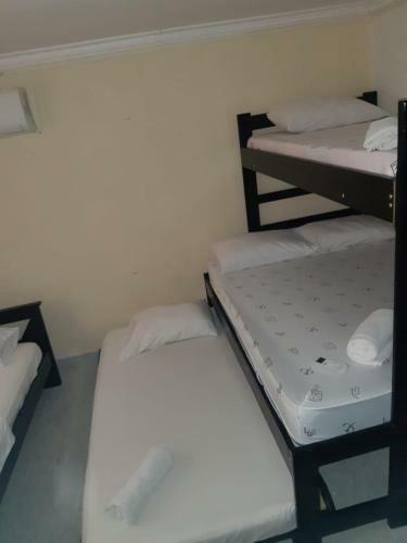 Apartamento Posada Nativa Miss Leo