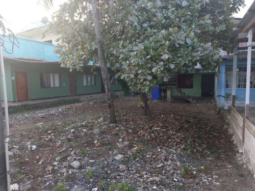 Apartamento Posada Nativa Miss Leo