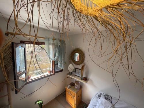 Albergue We Surf Morocco