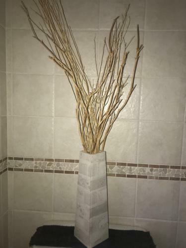 Apartamento Bluebel Inn