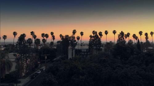Hollywood Hills !!! One Bedroom Apartment !!!